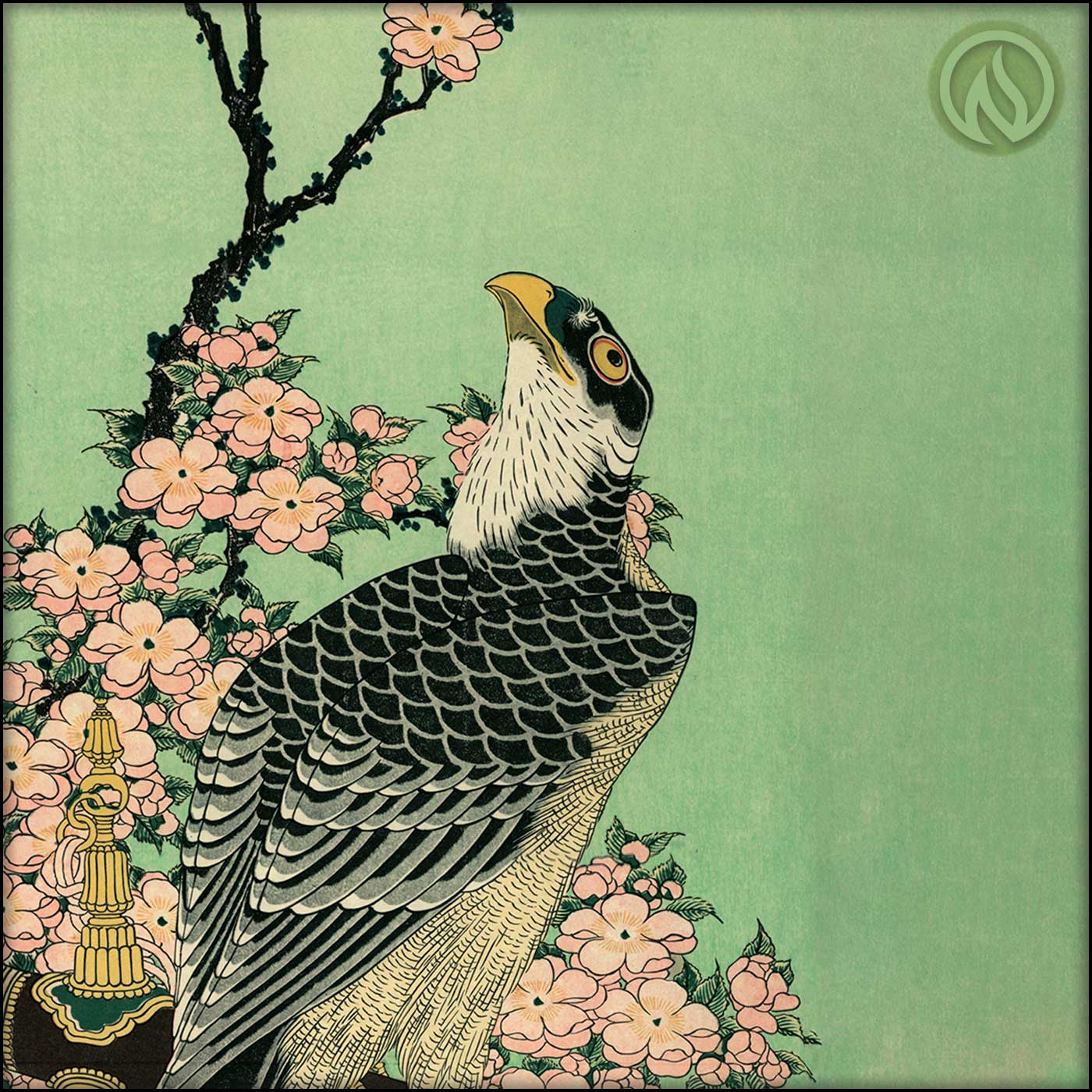 Hokusai Hawk Scoop Neck Tech