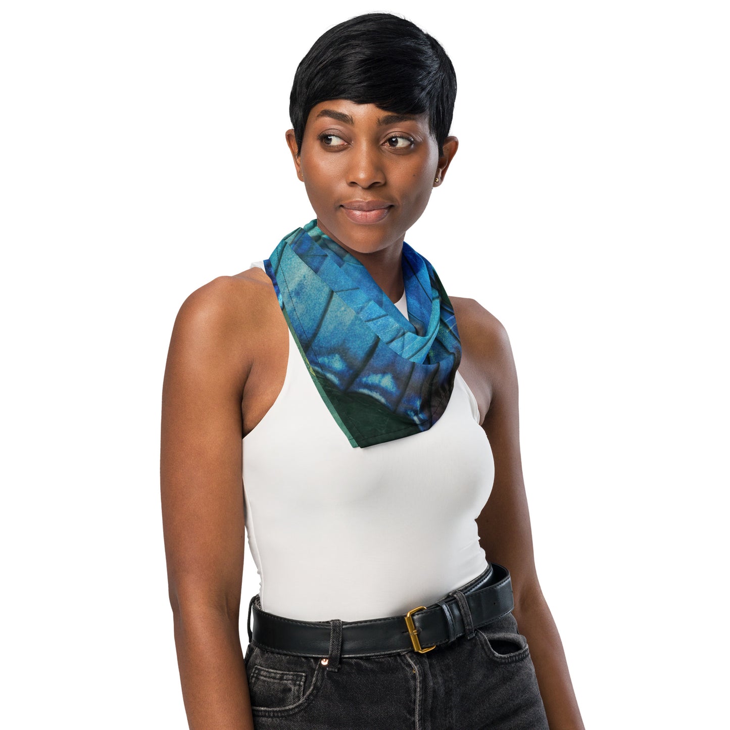 Ascent Bandana (3 Sizes)
