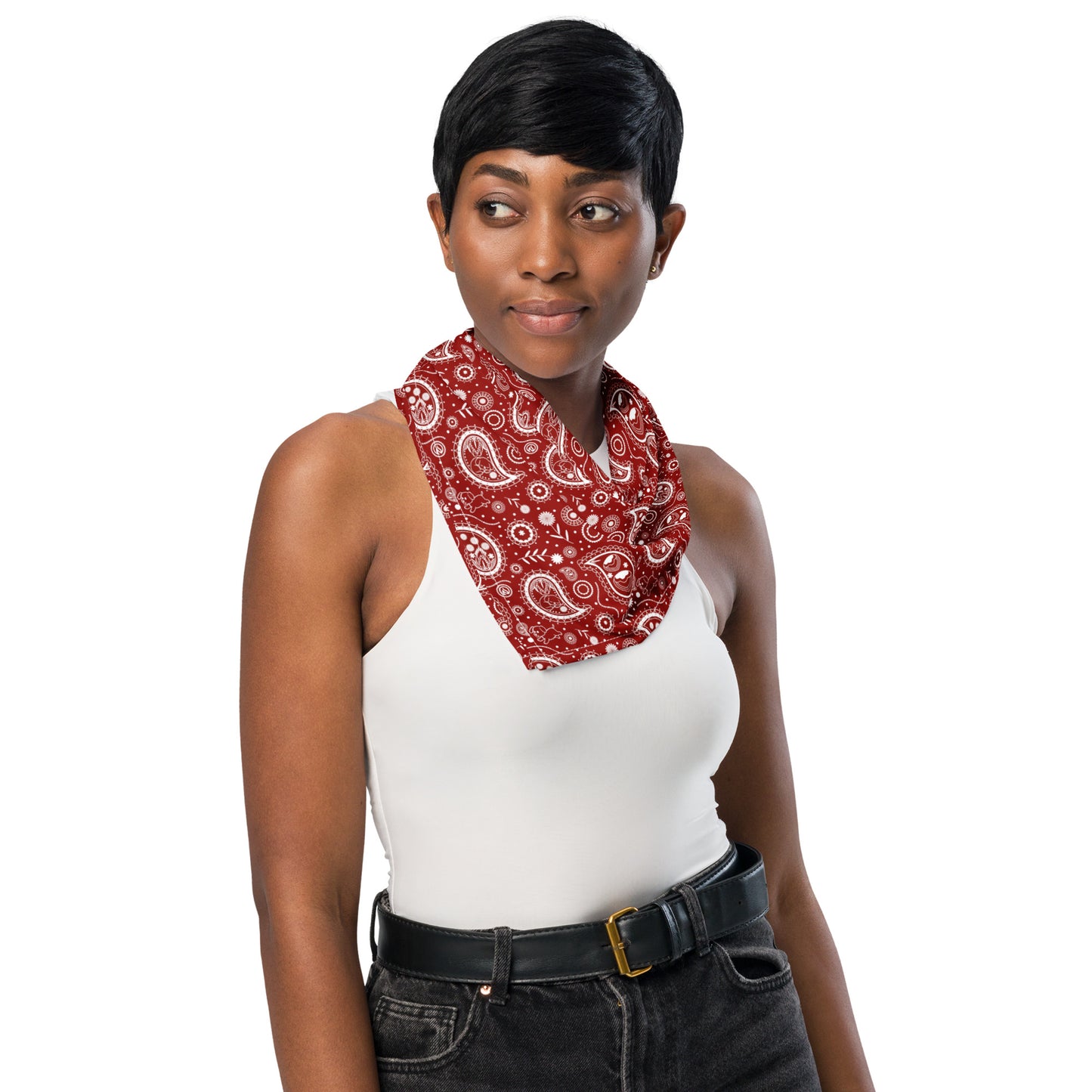 Red Paisley Bandana (3 Sizes)