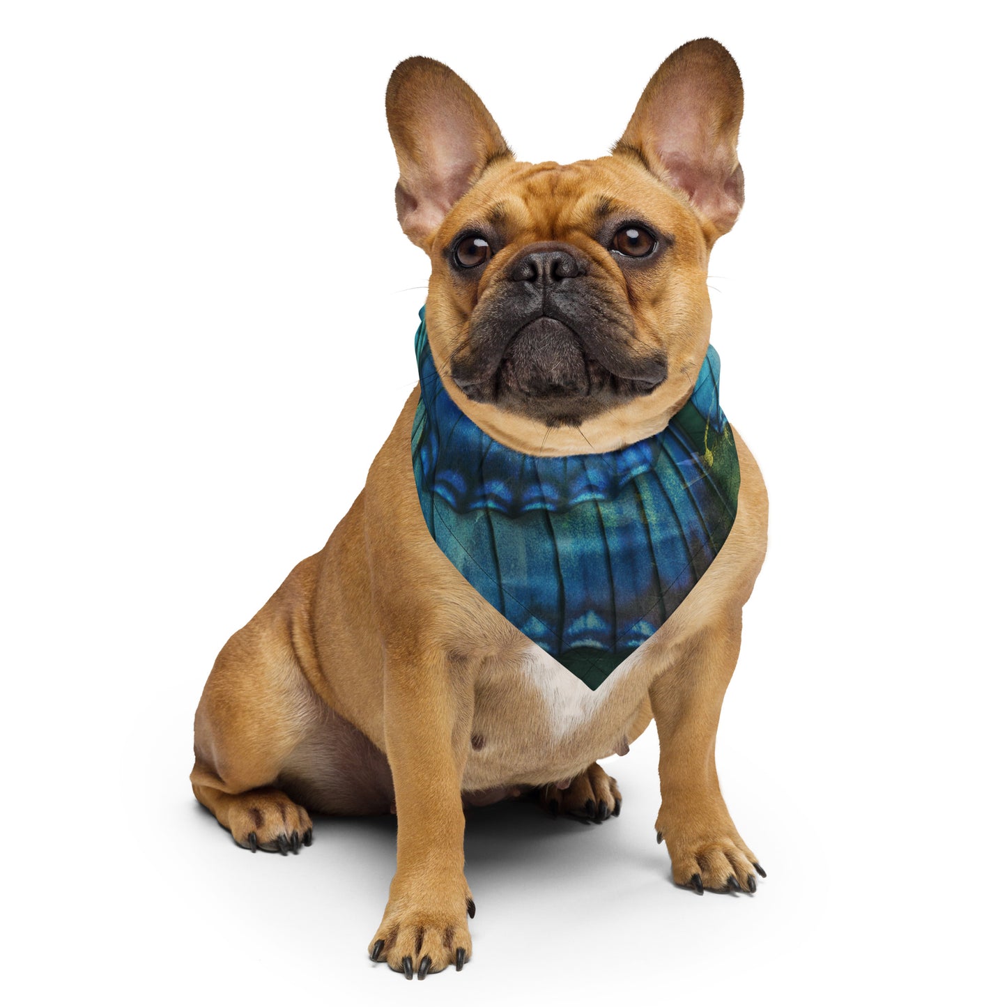Ascent Bandana (3 Sizes)