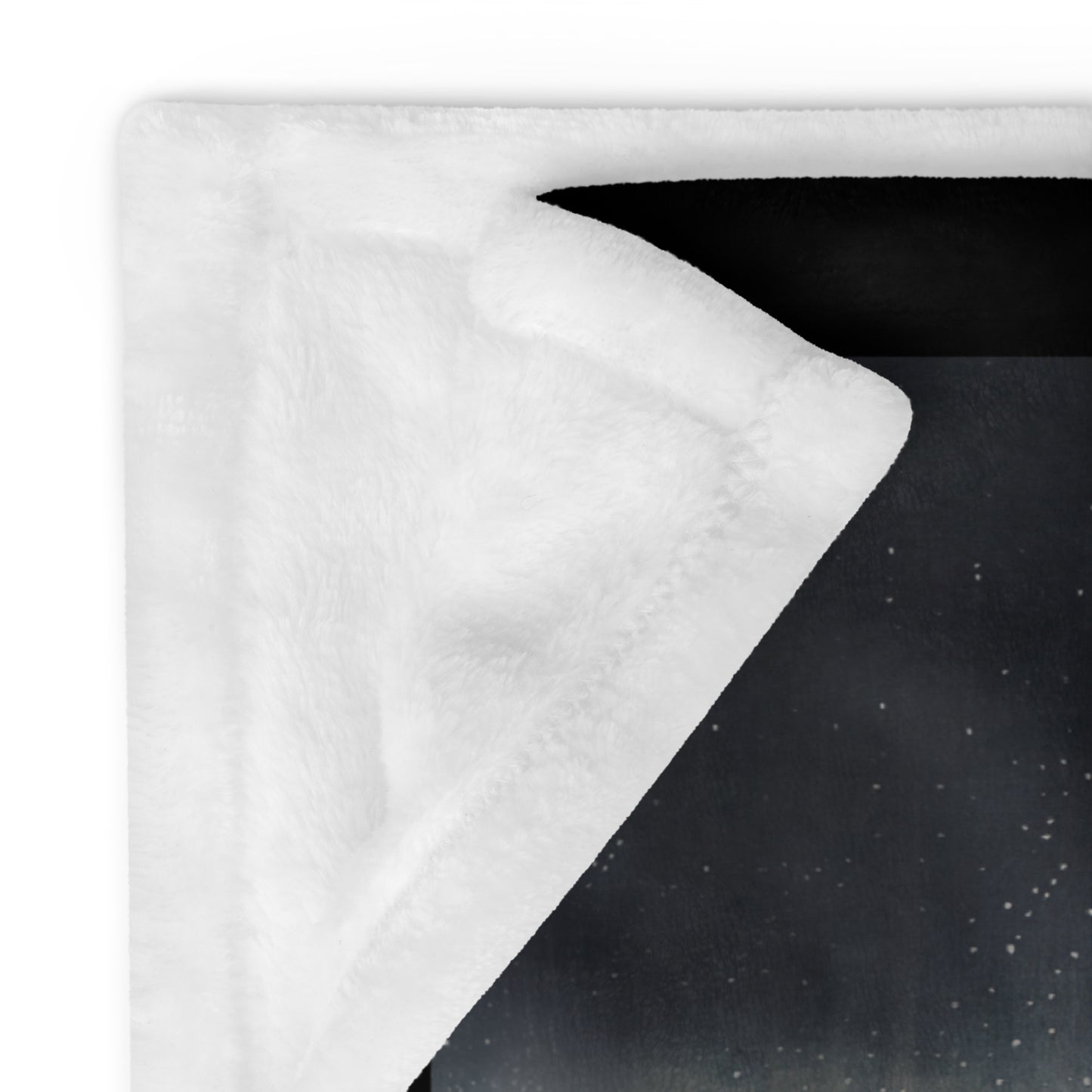 Egrets in Snow Blanket 40x30 Blanket